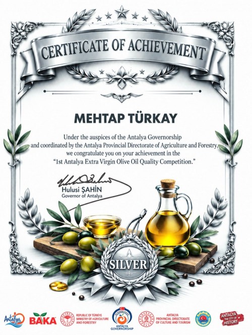 Başarı Belgesi